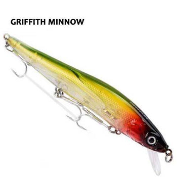 Griffith Minnow