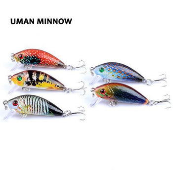 Uman Minnow