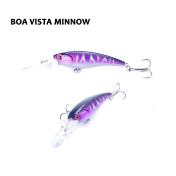 Boa Vista Minnow