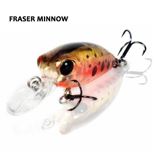 Fraser Minnow