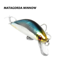 Matagorda Minnow