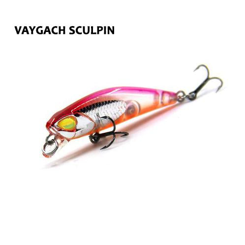 Vaygach Sculpin