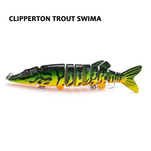 Clipperton Trout Swima