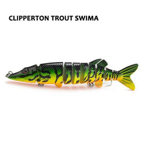 Clipperton Trout Swima