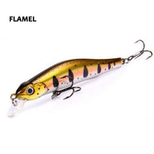Korcula Trout