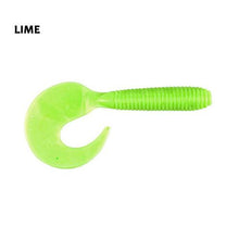 Jamaica Curly Tail