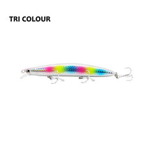 Pevensie Minnow