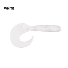 Jamaica Curly Tail