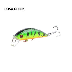Barbuda Minnow