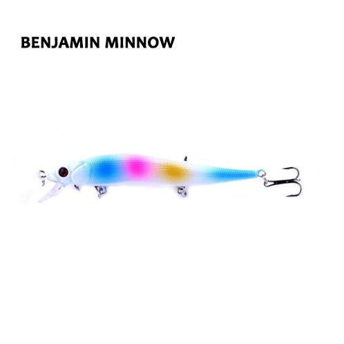 Benjamin Minnow