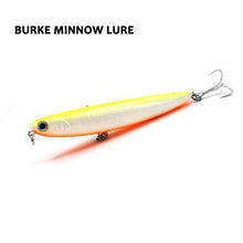 Burke Minnow
