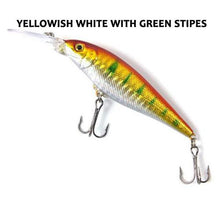 Madeira Minnow