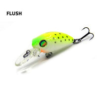 Fraser Minnow