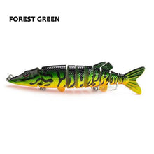 Clipperton Trout Swima