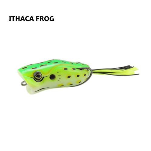 Ithaca Frog