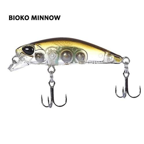 Bioko Minnow
