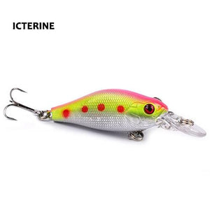 Guernsey Minnow