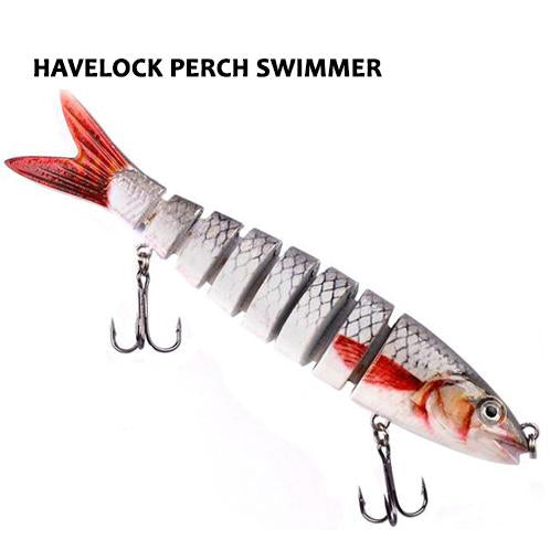 Havelock Perch Swimmer