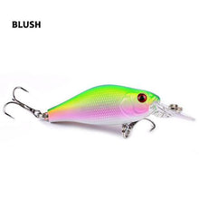 Guernsey Minnow