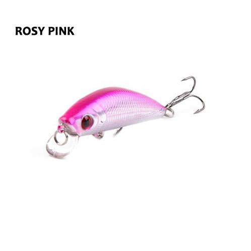 Barbuda Minnow