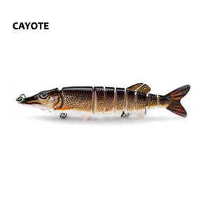 Clipperton Trout Swima