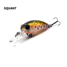Fraser Minnow