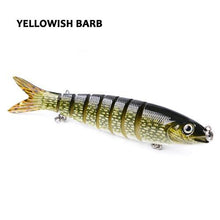 Havelock Perch Swimmer
