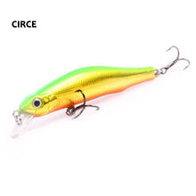 Korcula Trout