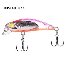 Bioko Minnow