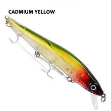Griffith Minnow