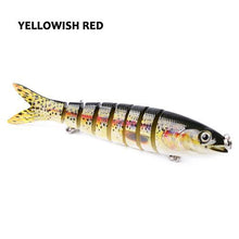 Havelock Perch Swimmer