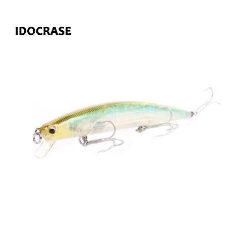 Swains Minnow