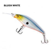 Madeira Minnow