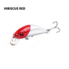 Barbuda Minnow