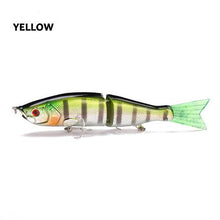 Bermuda Jointed Swima