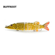 Clipperton Trout Swima