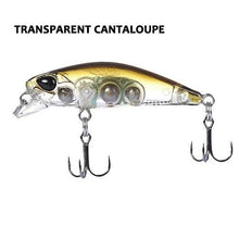 Bioko Minnow
