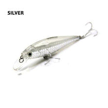 Vanguna Minnow