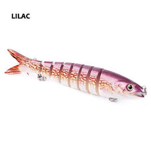 Havelock Perch Swimmer
