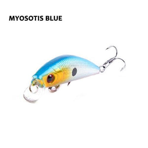 Barbuda Minnow
