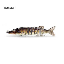 Clipperton Trout Swima