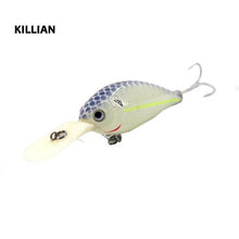 Campbell Minnow