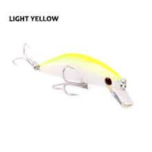 Matagorda Minnow