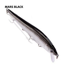 Griffith Minnow