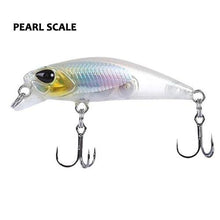Bioko Minnow