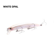 Swains Minnow