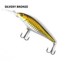 Madeira Minnow