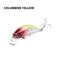 Barbuda Minnow