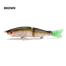 Bermuda Jointed Swima