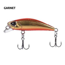 Bioko Minnow
